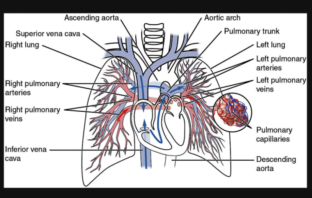 impaired heart function with severe covid-19