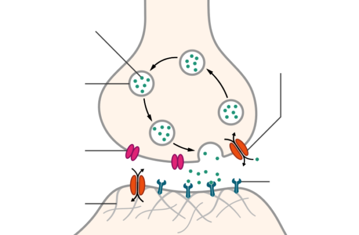 8th of patients have neurological symptoms