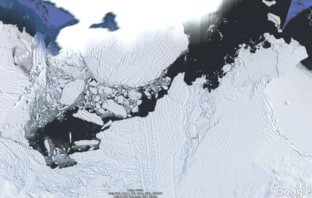 could one ice sheet affect entire food chain