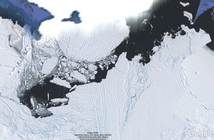 could one ice sheet affect entire food chain