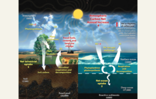 a decarbonized economy