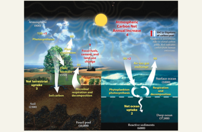 a decarbonized economy