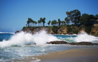 lessons to learn from the california surge