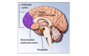 covid post traumatic stress disorder
