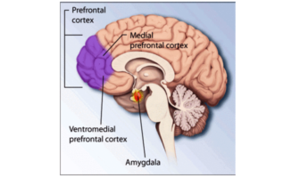 covid post traumatic stress disorder