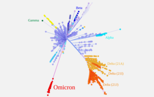 what we now know about covid-19