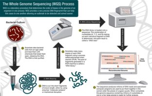 sequencing to identify new covid variants