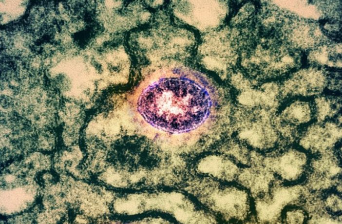 will the new omicron booster do the job