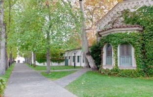 us college students drop their guard this fall