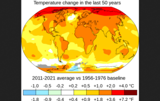 could climate change cause our extinction