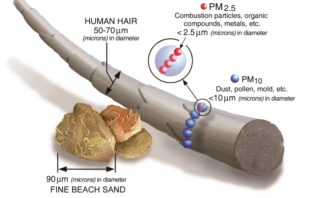 how air pollution can trigger cancers