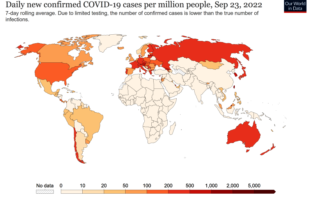 is the pandemic in a lull