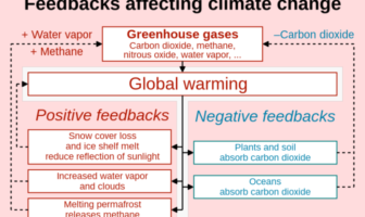 lithium metal batteries