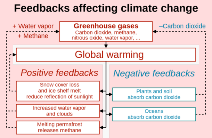 lithium metal batteries