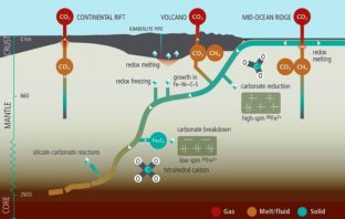 richer carbon electrodes