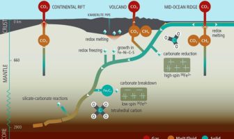 richer carbon electrodes