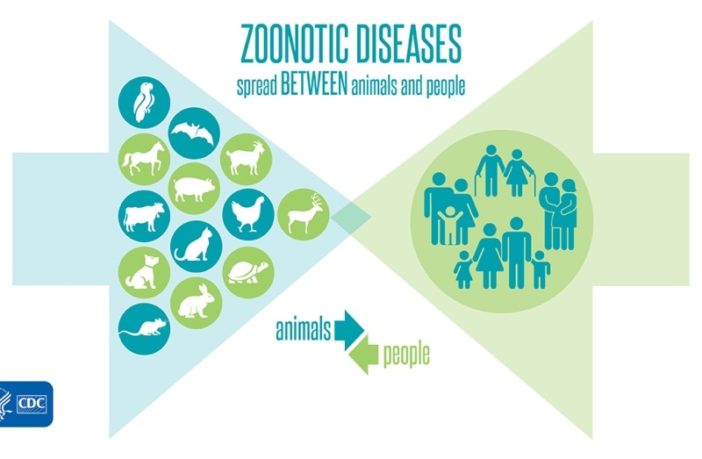 sharing covid between people and animals