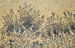 mechanical forces inside solid-state
