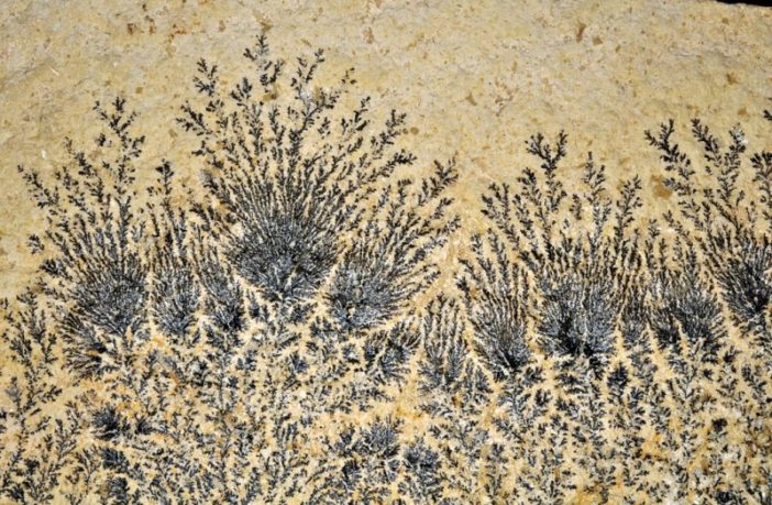 mechanical forces inside solid-state