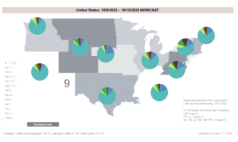 omicron bq.1 and bq.1.1