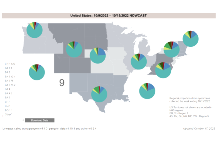 omicron bq.1 and bq.1.1