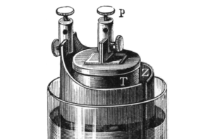grove cell