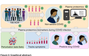 protein cocktail could cause long covid