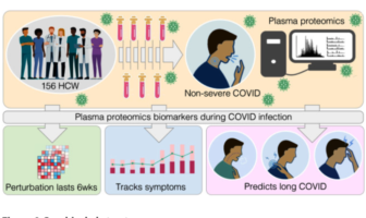 protein cocktail could cause long covid