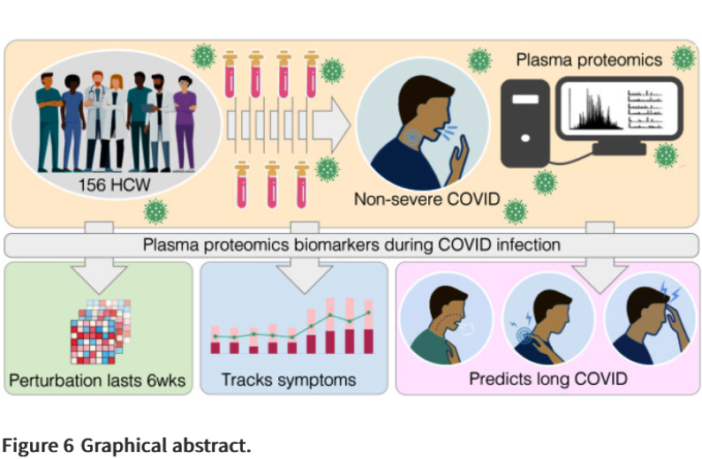 protein cocktail could cause long covid