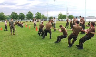 standard potentials for half reactions