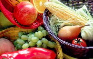 fruit and veg conduct electricity