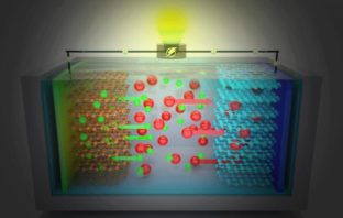 dual-Ion batteries