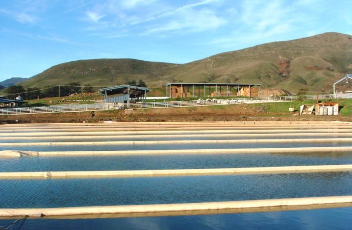 green fuel and hydrogen