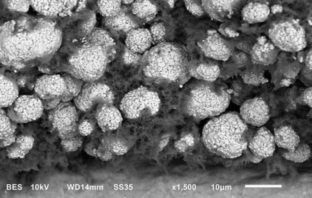 ions in lithium ion batteries