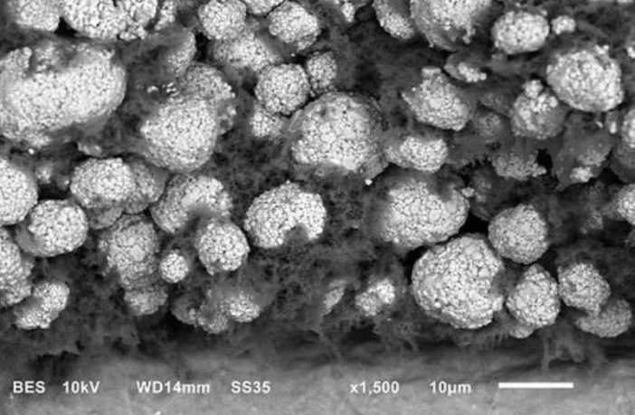 ions in lithium ion batteries