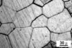 dendrite formation at crystal grain boundaries