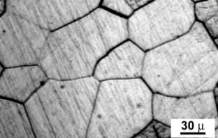 dendrite formation at crystal grain boundaries
