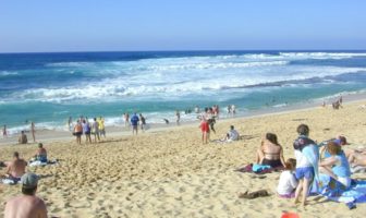 which phones will be hot