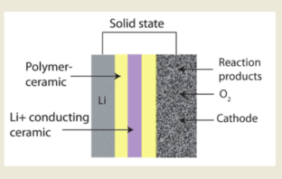 facts of intercalation