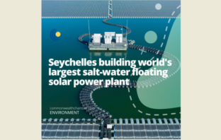 salt water battery