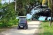 electric golf carts