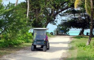 electric golf carts