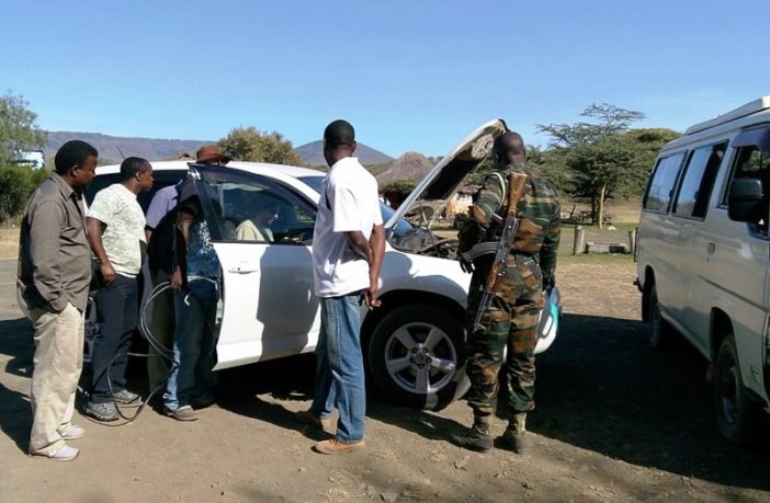 low starter batteries