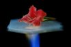 aerogel battery shielding