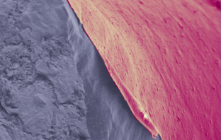 lithium-sulfur battery capacity