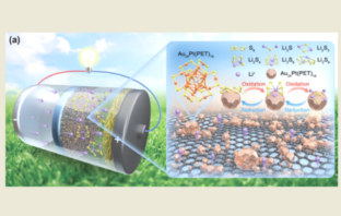 metal nanoclusters