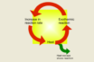 selective solar battery recall