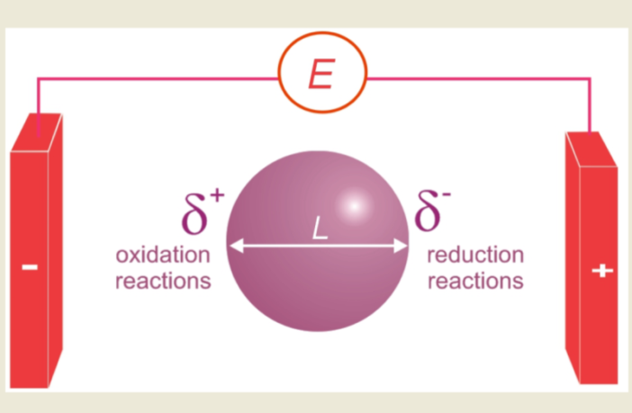 bipolar battery dual-purpose electrodes