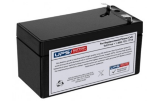 the u in your ups is the battery