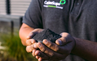 bio-graphite anode